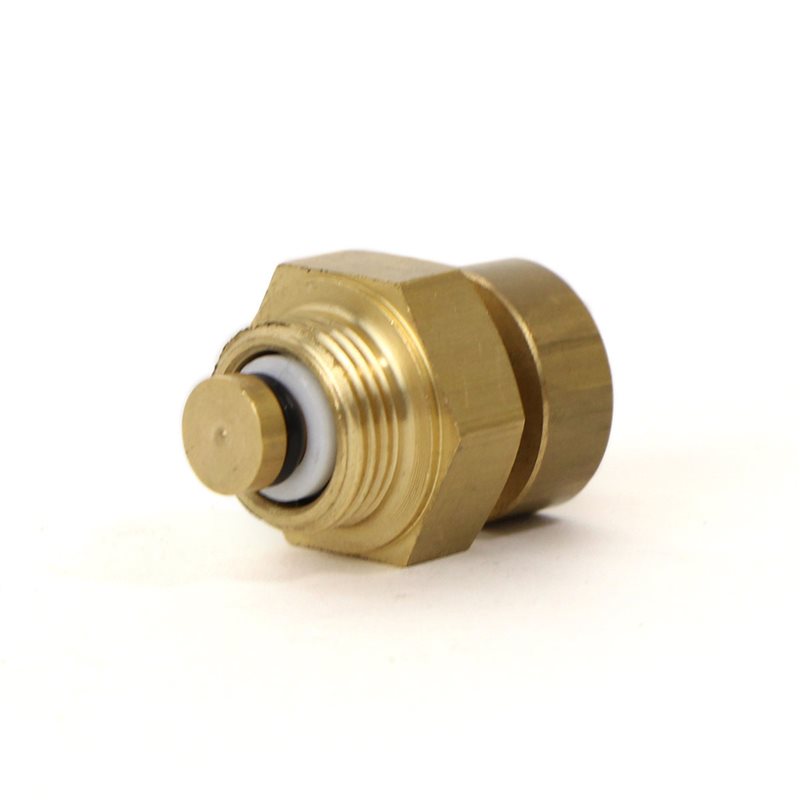 Rancilio Anti-Vac-Kesselventil - 10060051