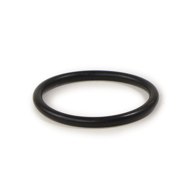Elektra Micro Casa Leva Filterholder Gasket - 00174035